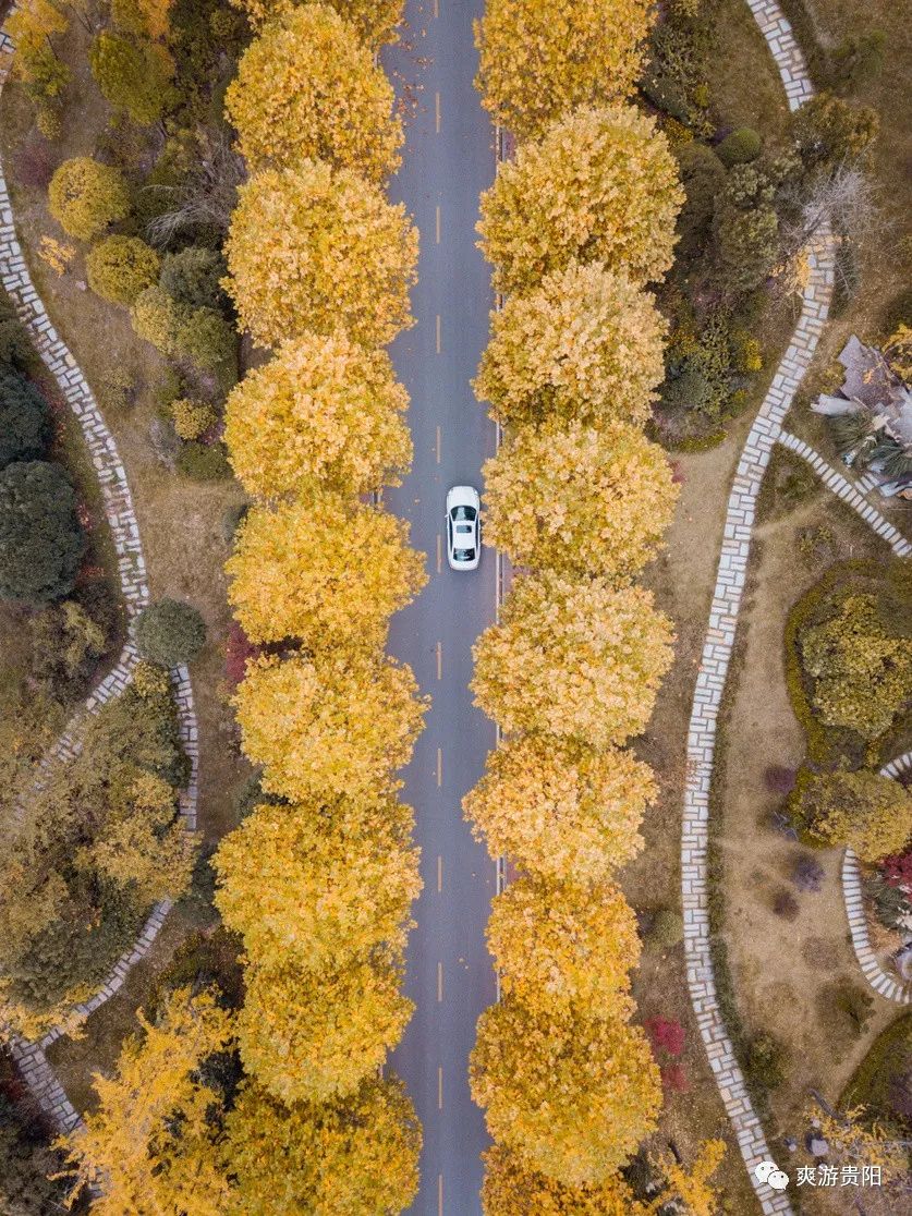 DJI_0441.jpg